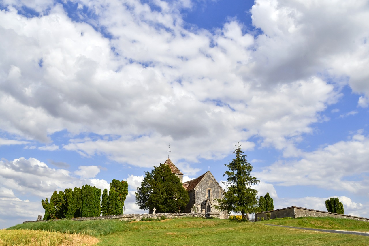 The Unique Customs of France's Vendanges Festival